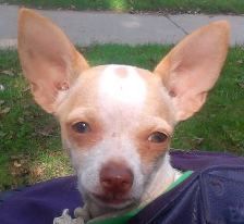 austinmisty profile photo