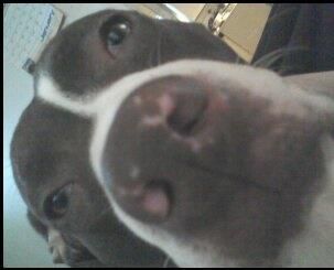 austinmisty profile photo