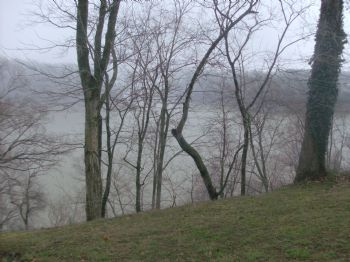 sondra151 profile photo