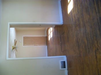 murraydylan profile photo