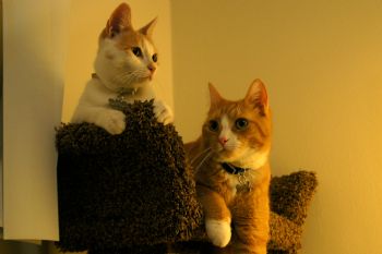 Lanna22 profile photo