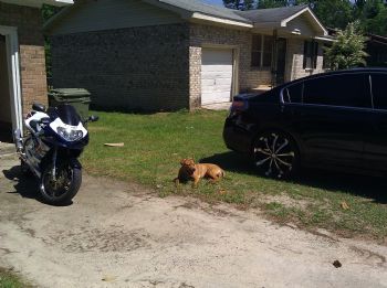 Ilov3M3 profile photo