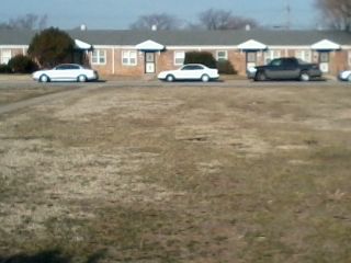 servival53 profile photo