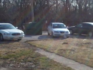 servival53 profile photo