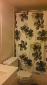 meganscurt profile photo