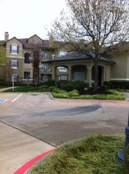 ladawn43 profile photo