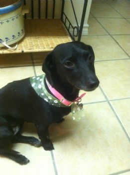 kaylamck2208 profile photo