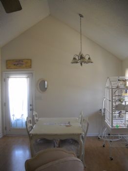 windsongs profile photo