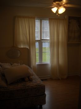 windsongs profile photo