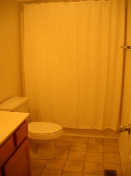 windsongs profile photo