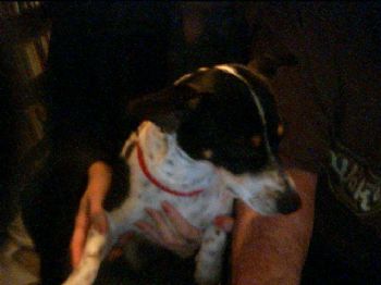 undeath66 profile photo