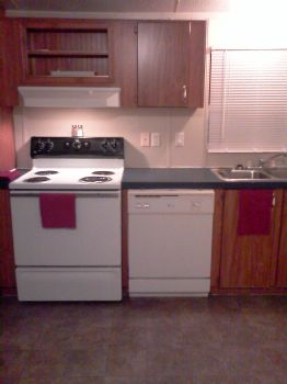 alaneason profile photo