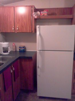 alaneason profile photo