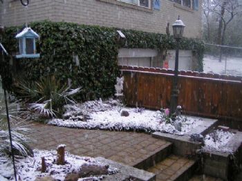 dskipper profile photo