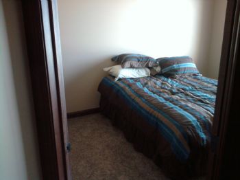 dogfish3 profile photo