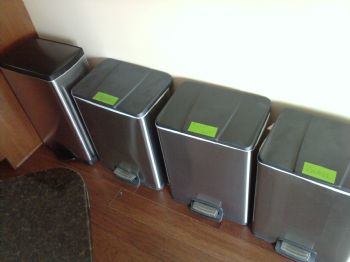 dogfish3 profile photo