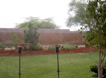 doctornino profile photo