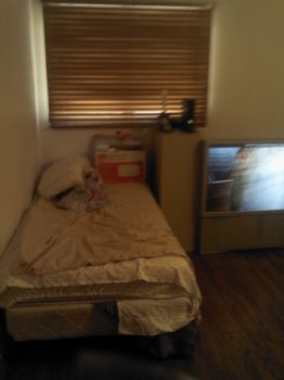 dmass1291 profile photo