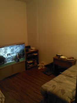 dmass1291 profile photo