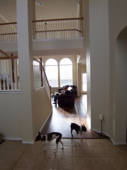 Tanya Harlan profile photo