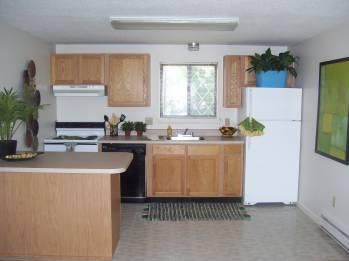 aml10004 profile photo