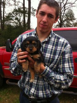 alexander200 profile photo