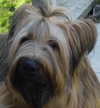 cesar20 profile photo