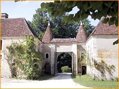 cesar20 profile photo