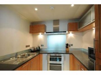 alanjad33 profile photo