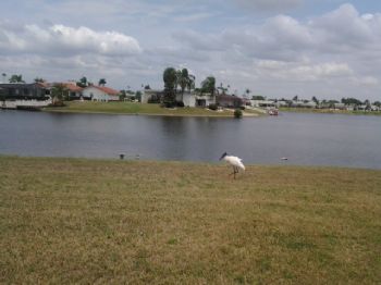 craftlady profile photo