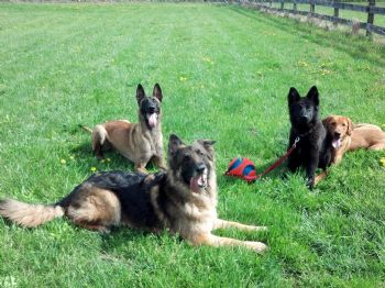 Countrylivin profile photo