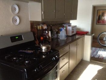 kaitedgin profile photo