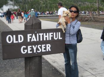 kwarto profile photo