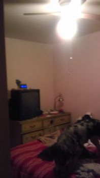 eacmorren25 profile photo