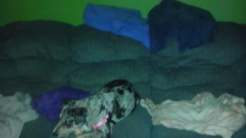 eacmorren25 profile photo