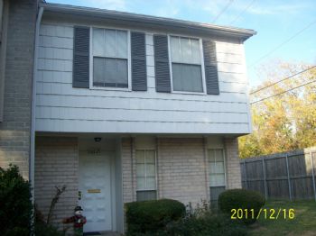 lizIII profile photo