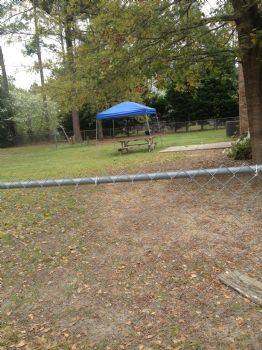 torilew22 profile photo