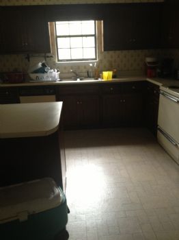 torilew22 profile photo