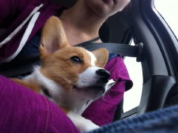 bransonxsamm profile photo