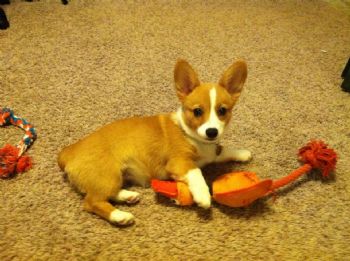 bransonxsamm profile photo