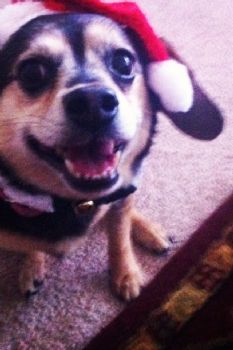 justine00 profile photo