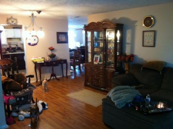 babysteps73 profile photo