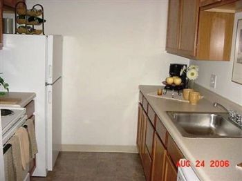 kshreve profile photo