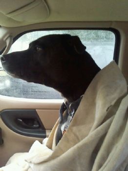 leebo323 profile photo