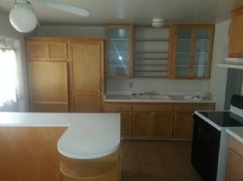 alekslindsey profile photo