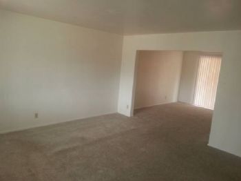 alekslindsey profile photo