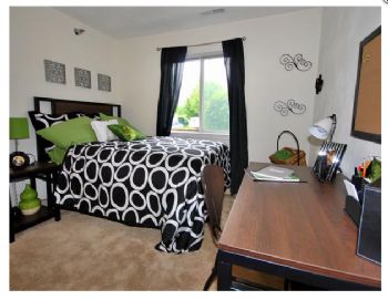 jenkince profile photo