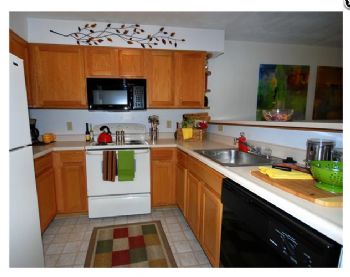 jenkince profile photo