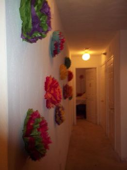 jenkince profile photo