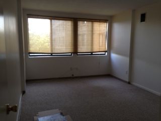 radcurls profile photo